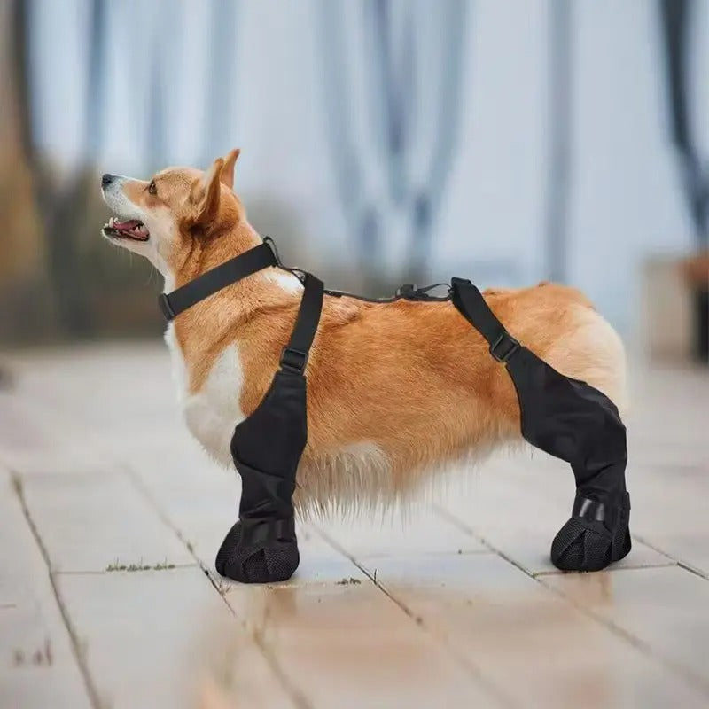 ZeroBarro™ — Arnés con Botas Impermeables para Perro